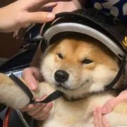 Lee612的个人资料头像