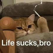 Xsw1m的个人资料头像