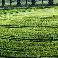 海阔天空63761438头像