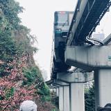 Cold9241头像