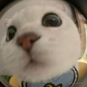 眼泪没有颜色的个人资料头像