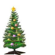 愿晓0615的个人资料头像