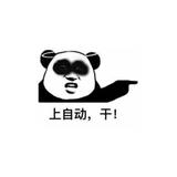 脾气暴躁的张大大头像