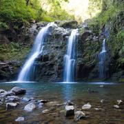 xiaoli的个人资料头像