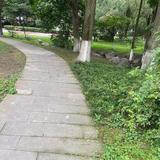 用户5883469445540头像