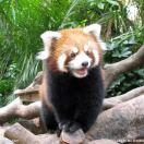 leonisliu的个人资料头像