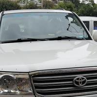 最好玩爱茶头像