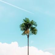 YunShan的个人资料头像