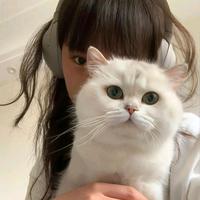 奔向李小姐头像