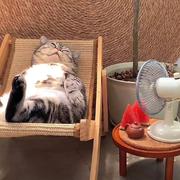 十二1212的个人资料头像