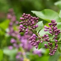 上进的天空xw头像