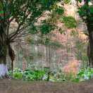 mihoutao的个人资料头像