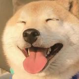 A胡农药头像