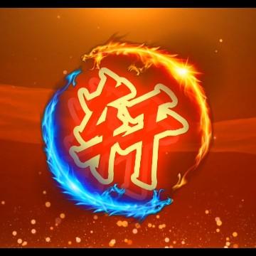 轩乐说车头像