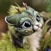 覃健团的个人资料头像