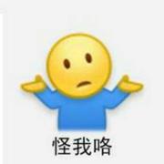 种代码的个人资料头像