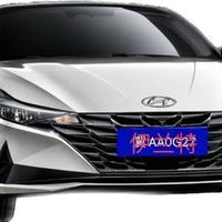 尊贵伊兰特车主头像