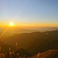 传说中的万手哥头像