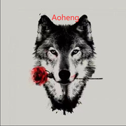 Aoheng的个人资料头像