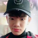 黎明下的蓝桉头像