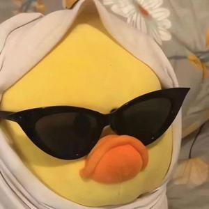 张楠135头像