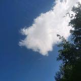 别打我野区头像