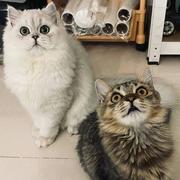 用户3391432879398的个人资料头像