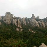 王老仙头像