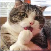 邻村杨师傅的个人资料头像