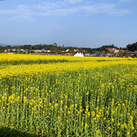 路野旅途头像