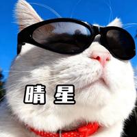 晴星爱玩车头像