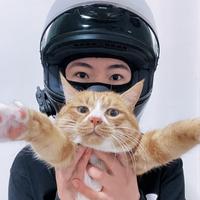 小庄不敢压弯头像