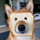 面包狗498头像