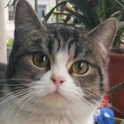 无机盐696的个人资料头像