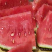 你可长点心的个人资料头像