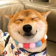 程序员小C的个人资料头像