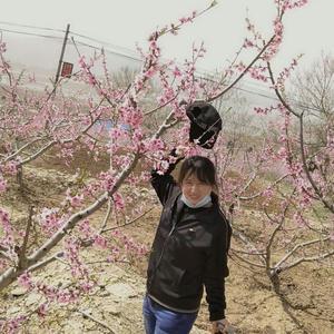 阿芬的退休生活头像