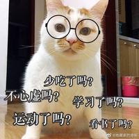 小巨虫头像