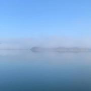 Swift的个人资料头像