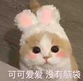 NothingisIm175644878头像