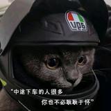 胡子先森吧头像