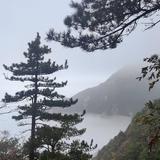 大冯1014头像