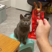 LDC429的个人资料头像