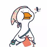 一条小锦李头像