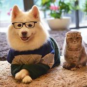 sunflower91的个人资料头像