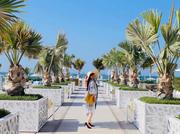 viviZhang66884的个人资料头像