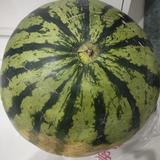 没事笑哈哈168头像