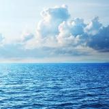 海2791头像