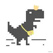 Corokia的个人资料头像