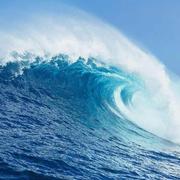 enjoywindstorm的个人资料头像